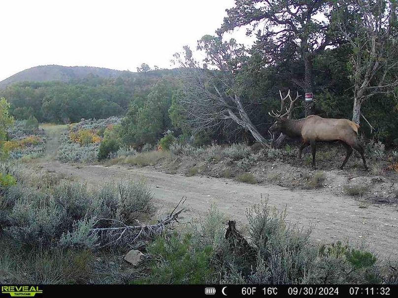 860516060102641-100-2-09302024071132-V-W1000140