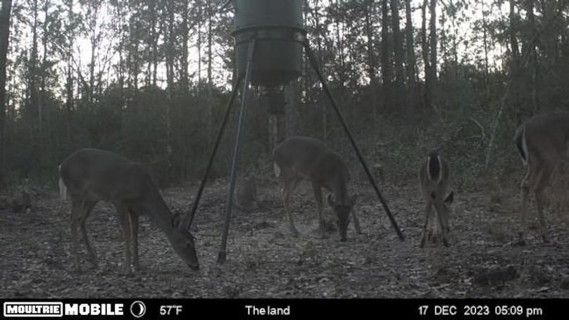 image638476368952643341