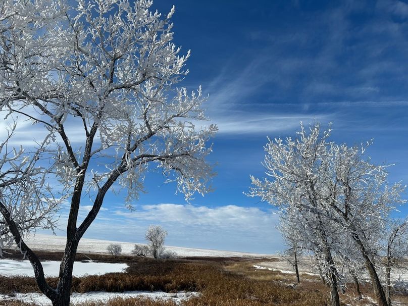 F54553D3-EAD2-470D-94EF-3ABEAA80D127_1_105_c