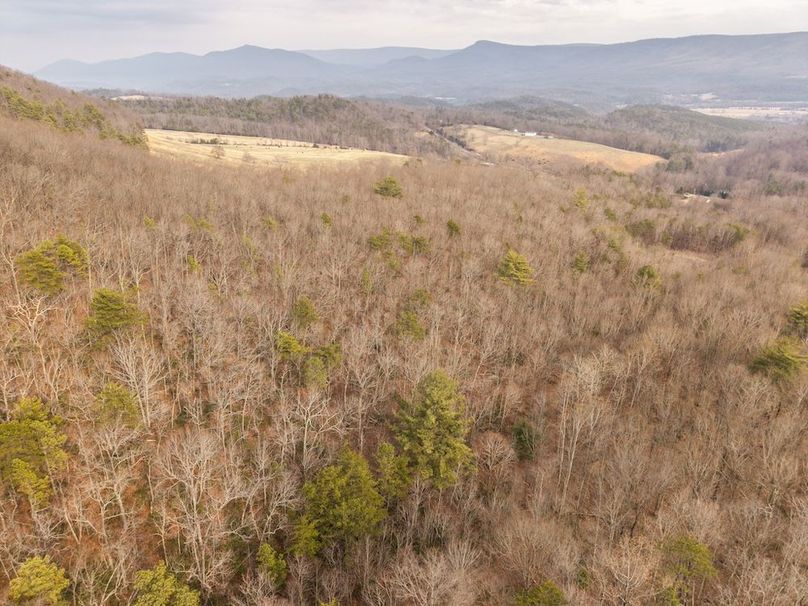 DJI_20260304155207_0006_D