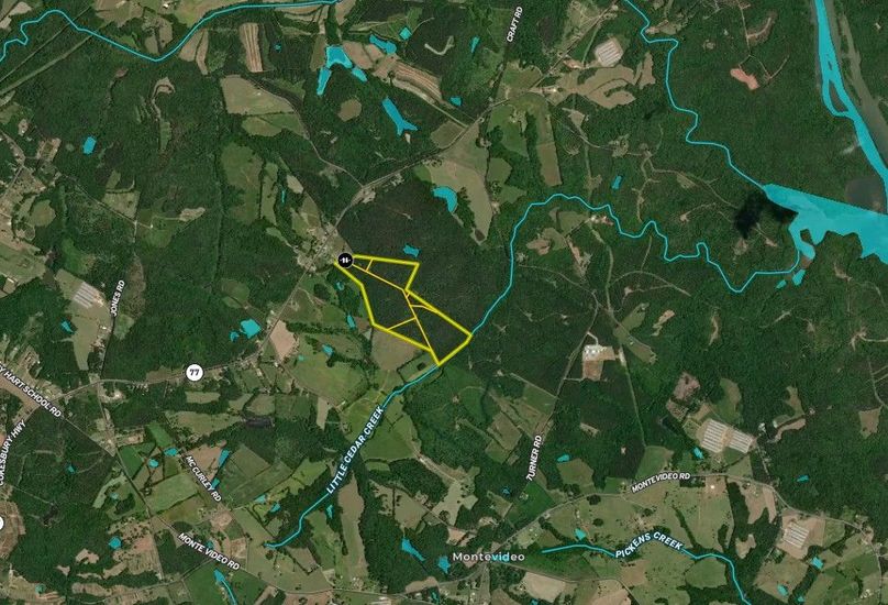 Hart county 115 acres map2