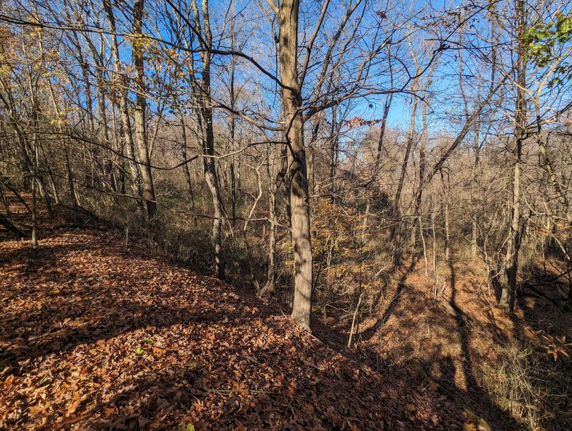 PXL_20231103_152054334