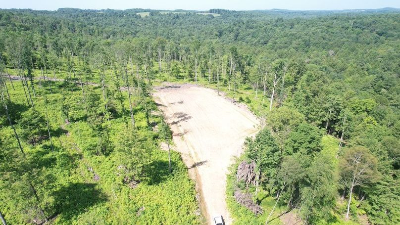 dji_fly_20250624_104022_357_1750776507435_photo