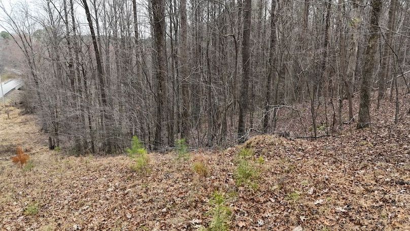 dji_fly_20260225_113754_0127_1772037651007_photo