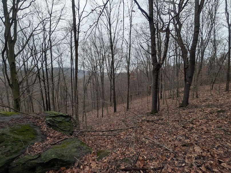 PXL_20260107_170412467