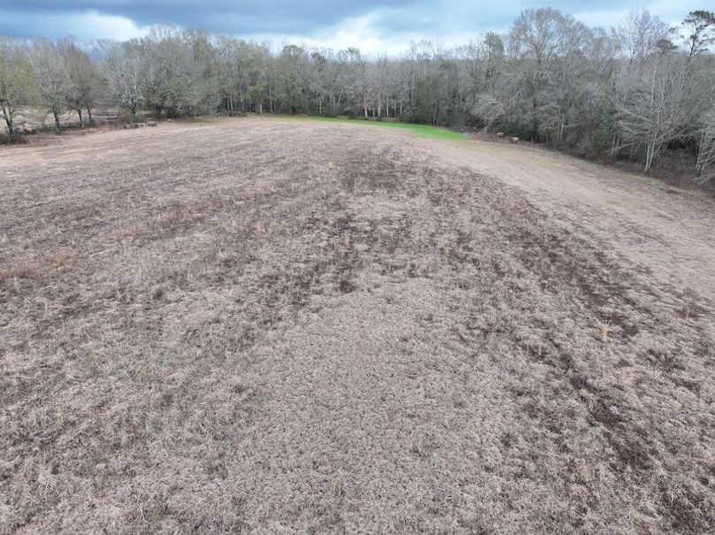 dji_fly_20260122_123558_0879_1769444803578_photo