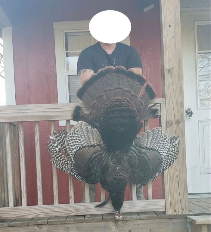 Screenshot_20240823_163655_Gallery