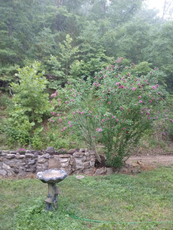 IMG_20220710_065847909