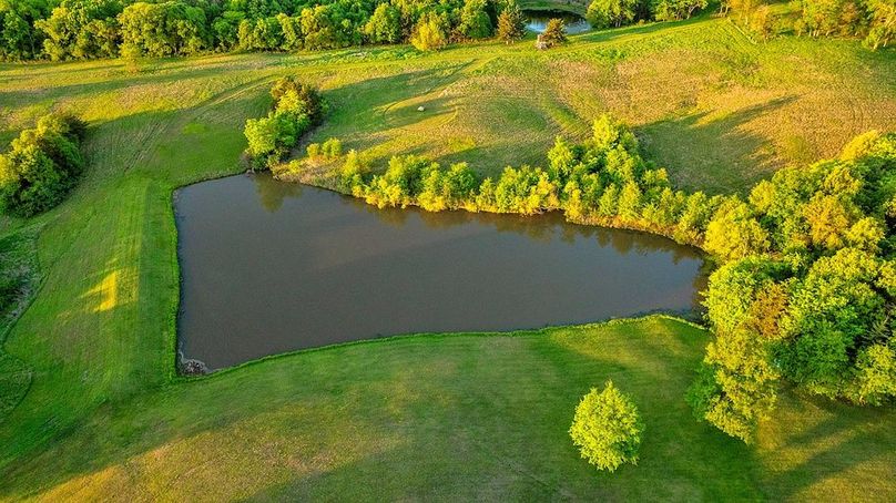 Harrison Grand Trace-13
