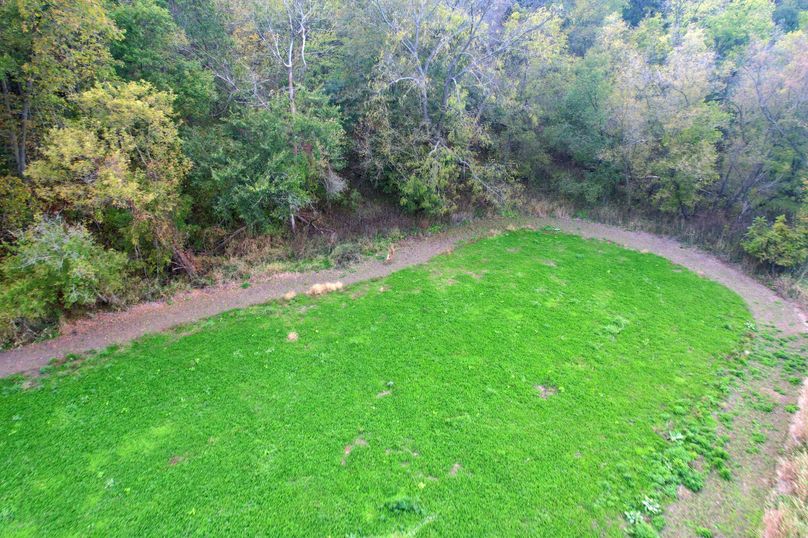 received_872007297652458