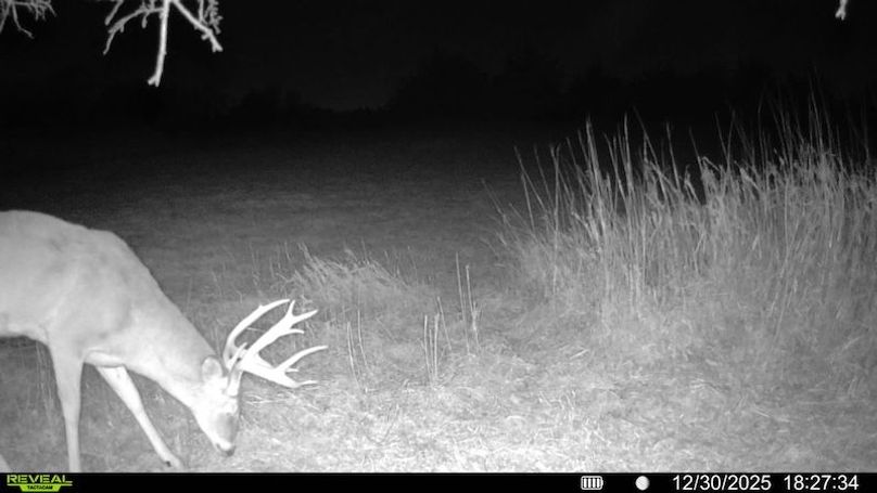 016578006043092-53-4-12302025182734-SYFW06394