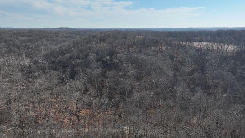 dji_fly_20231130_112216_0118_1701362513186_photo