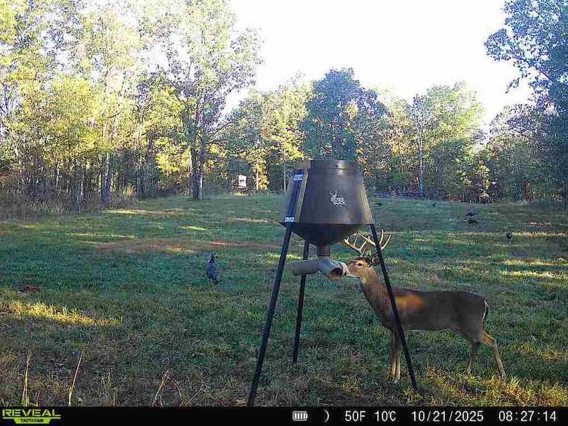 860516065555348-100-4-10212025082714-W1003363