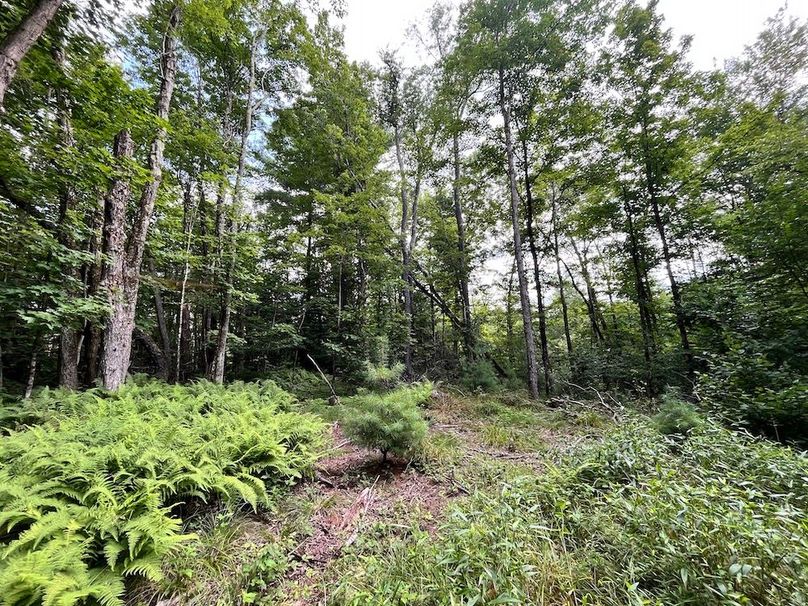 Oswego_133.72_Middleton_Photos_32