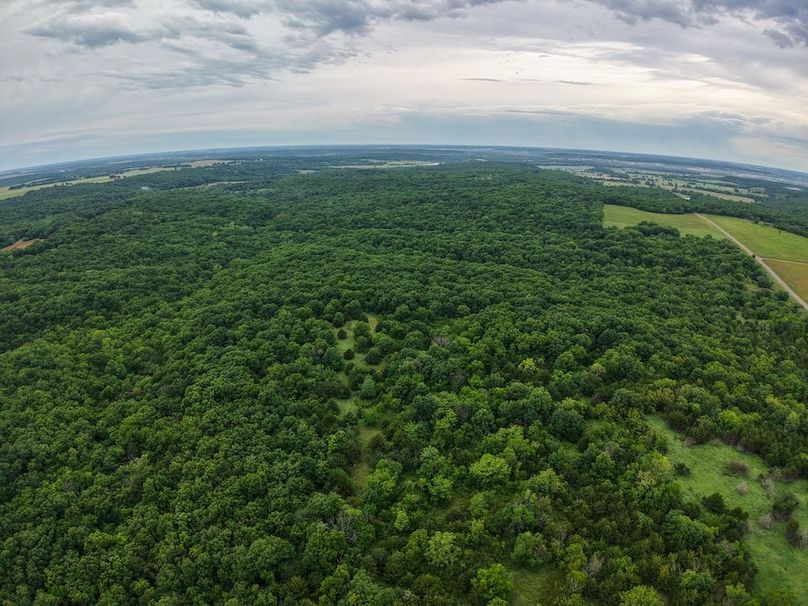 DJI_20250630072606_0325_D