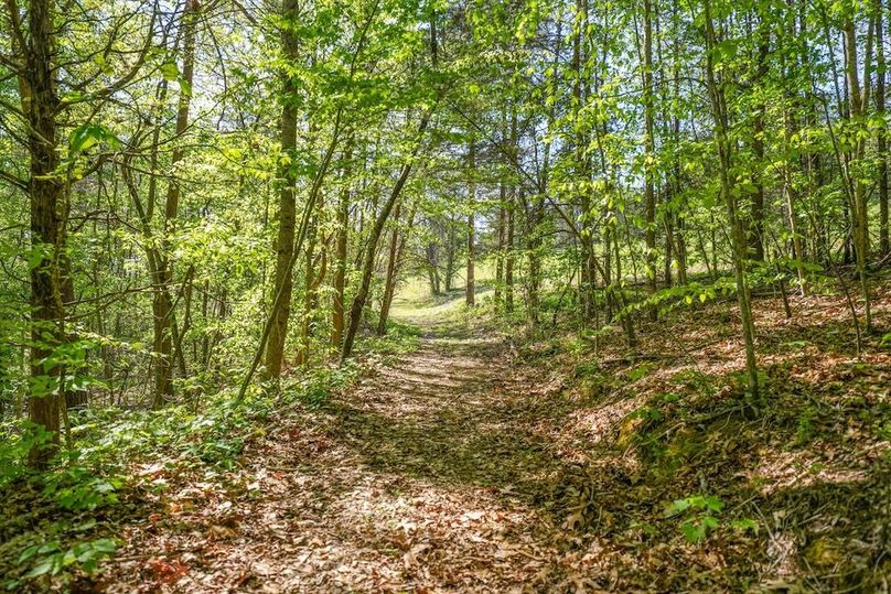 55-2869 Persian Ln51