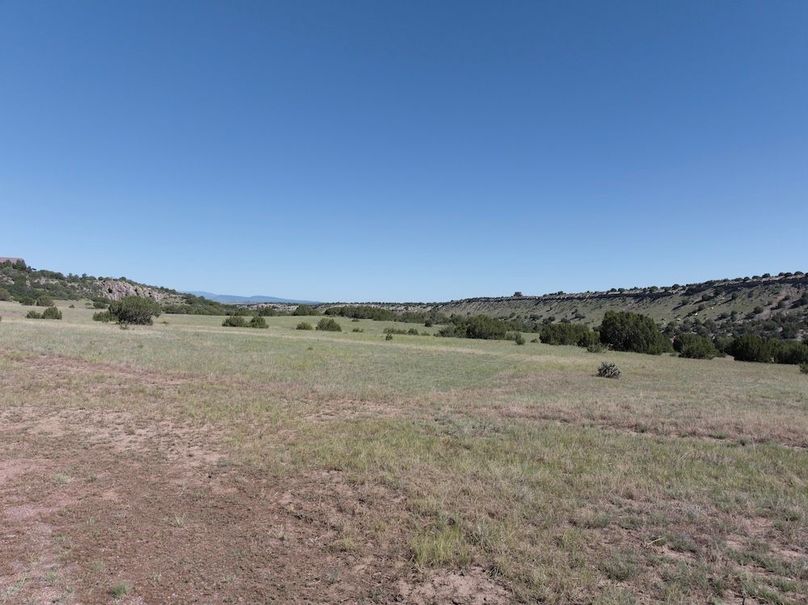 DJI_20250619093152_0001_D