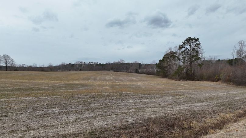 dji_fly_20260218_164302_0021_1771452059315_photo