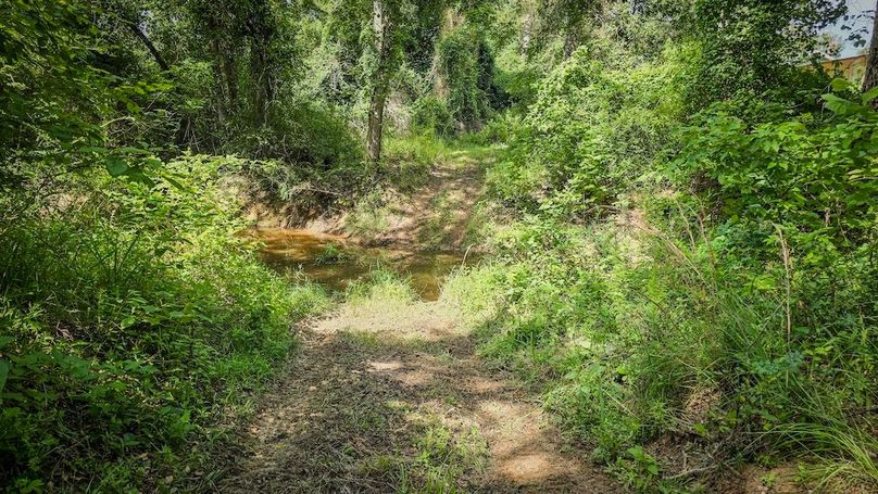 Copy of 20-20250710_103343