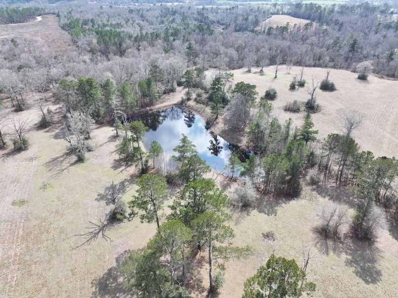 dji_fly_20260220_123850_0206_1771640806278_photo