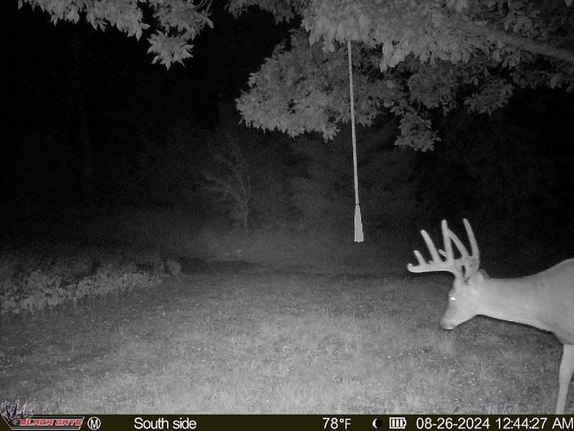 blackgate-media_47586543131427