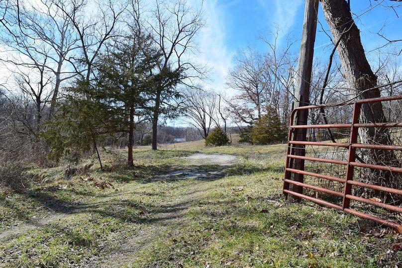 DSC_0261_inPixio (2)