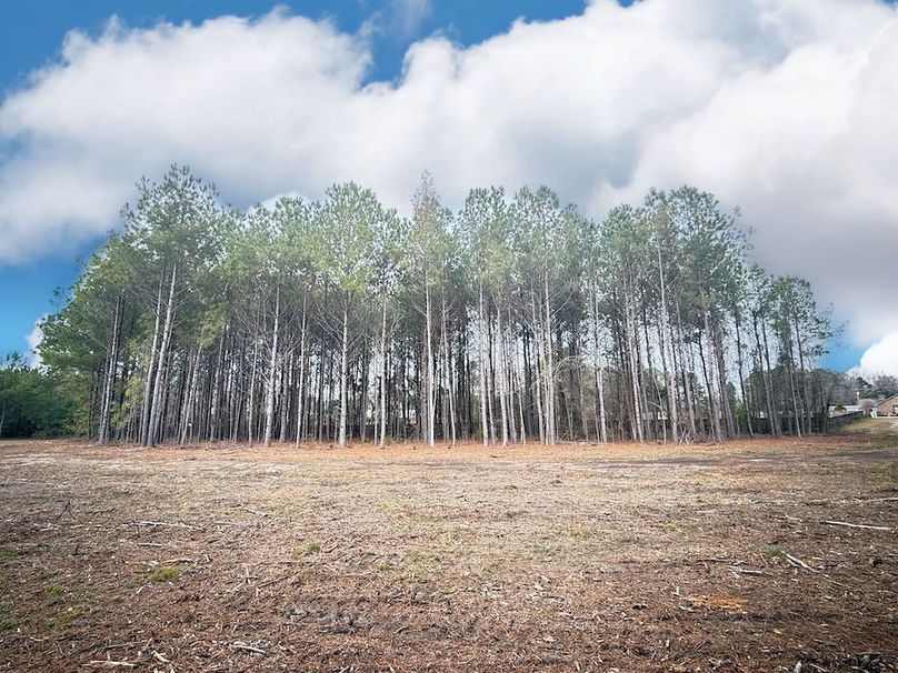 74DA010E-7093-416B-8F32-0999775E441B