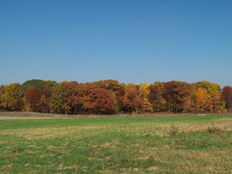 Fall Colors (1)