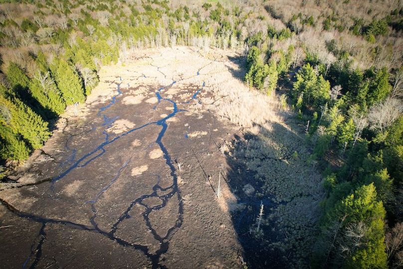 Oswego_17.88_Feld_Photos_64