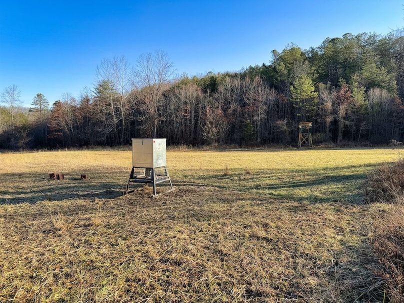 024 feeder and elevated blind