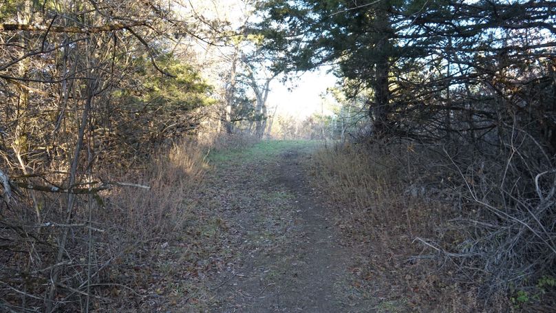 DSC02618
