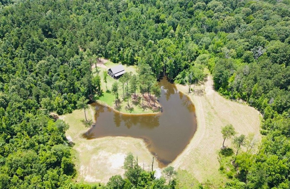 dji_fly_20250618_133544_843_1750271756471_photo