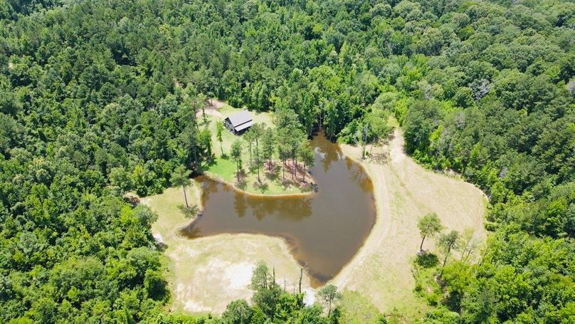 dji_fly_20250618_133544_843_1750271756471_photo