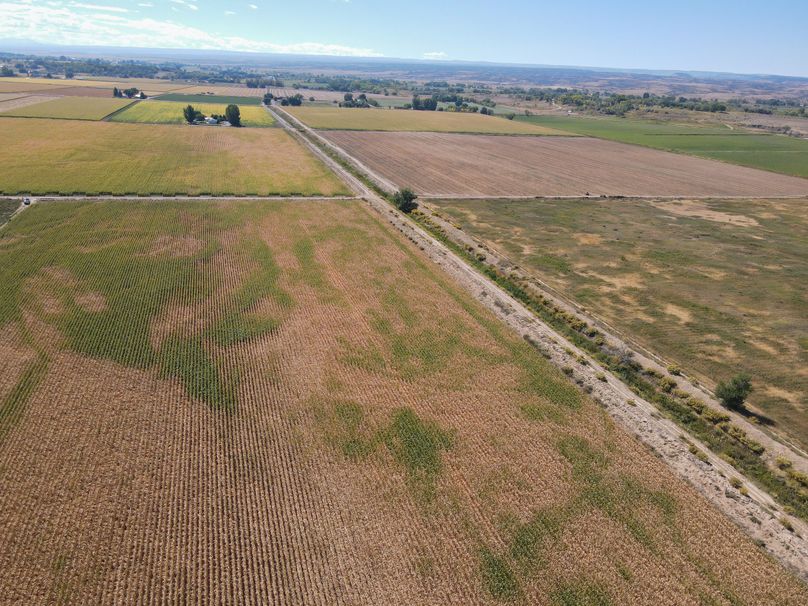 DJI_0390