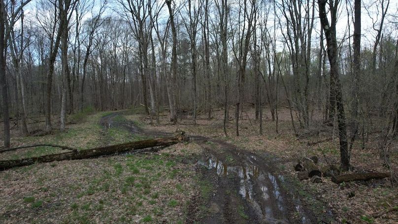 dji_fly_20260416_130736_261_1776359310435_photo