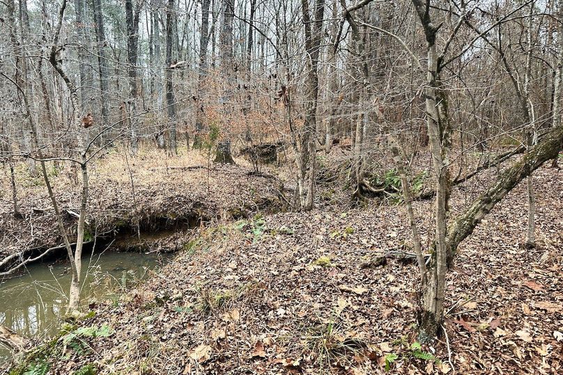 17 Creek