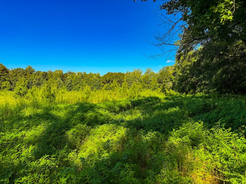 Itawamba 400 Moore-11