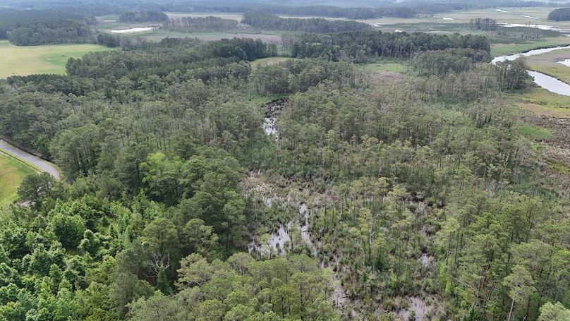 IMG17_60AC_dji_fly_20250613_103412_0016_1749852303126_photo