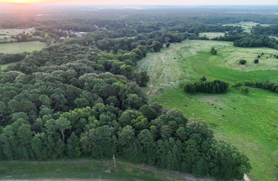 DJI_20250729062555_0004_V