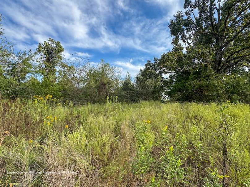 DeSoto 329 Prewett (Thompson) -38