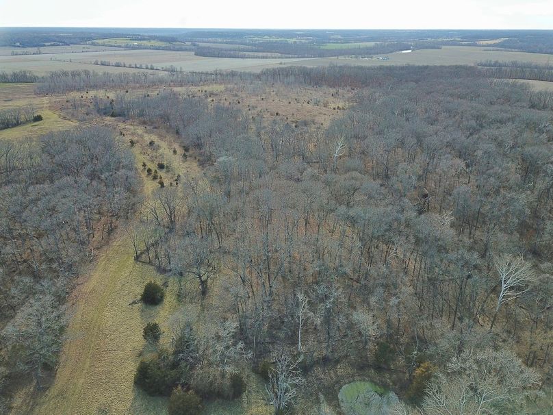 DJI_0231_inPixio (2)