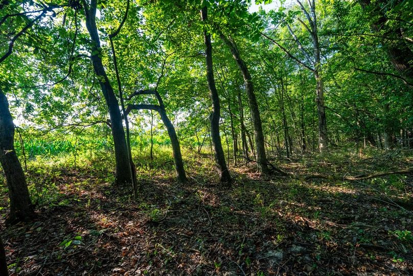 Copy of DSC06168 Large