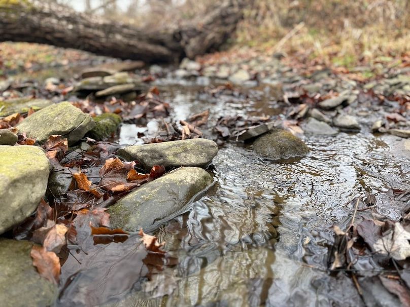 Tompkins_15.15_Galarza Photo 9