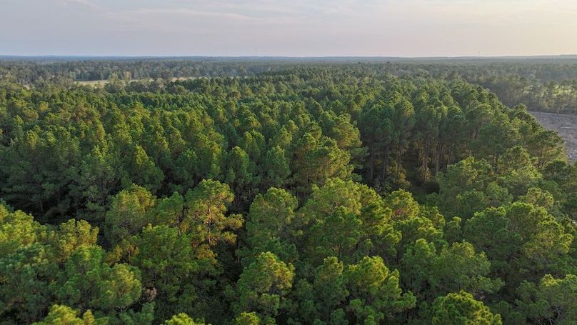 DJI_20250918182345_0219_D