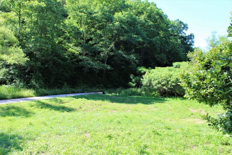008 field area along the southeast corner of the lot