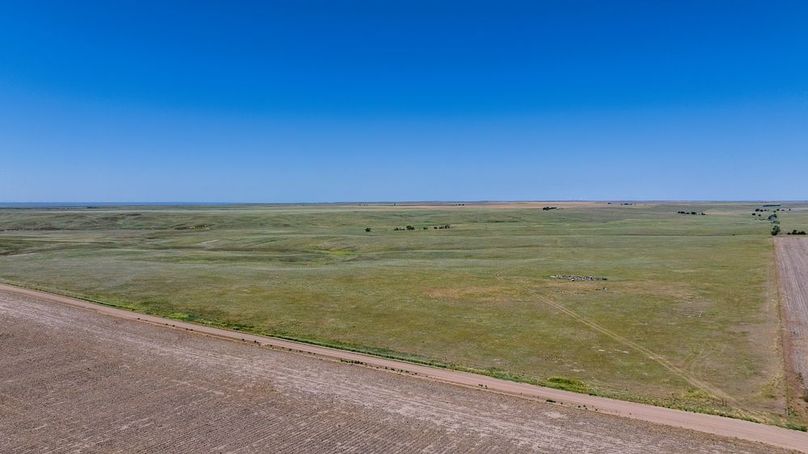 DJI_20250623110049_0323_D-HDR