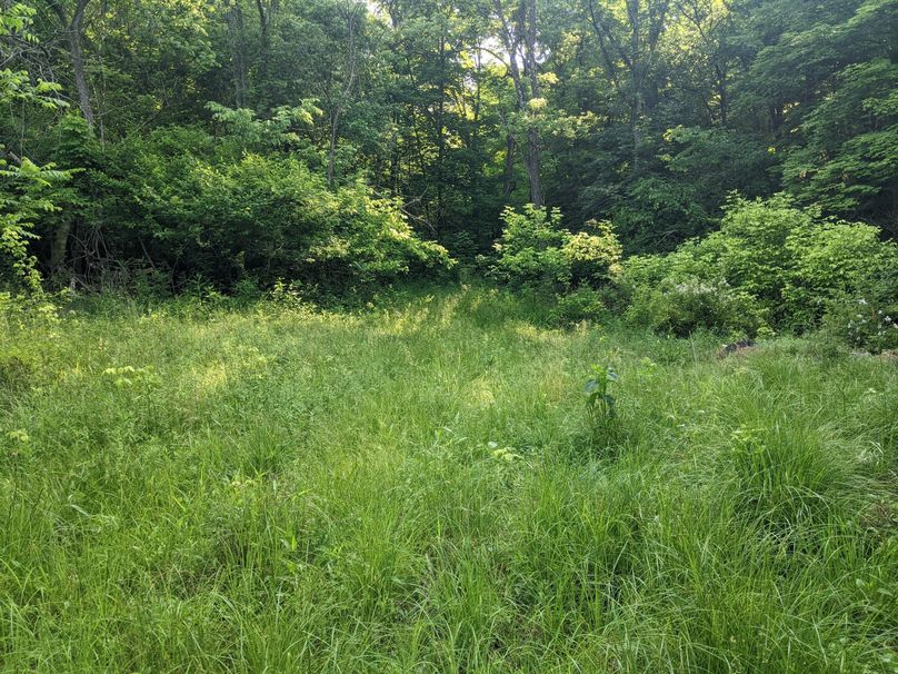 PXL_20230602_130844239