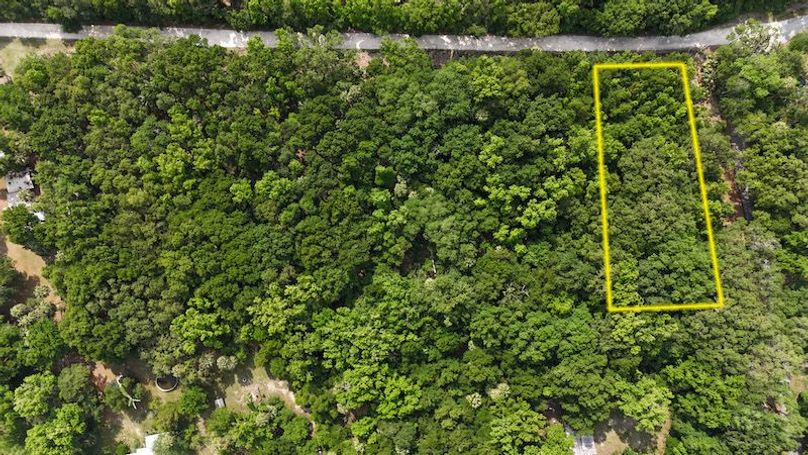 1.01ac, Citrus, Josiah Ronco01