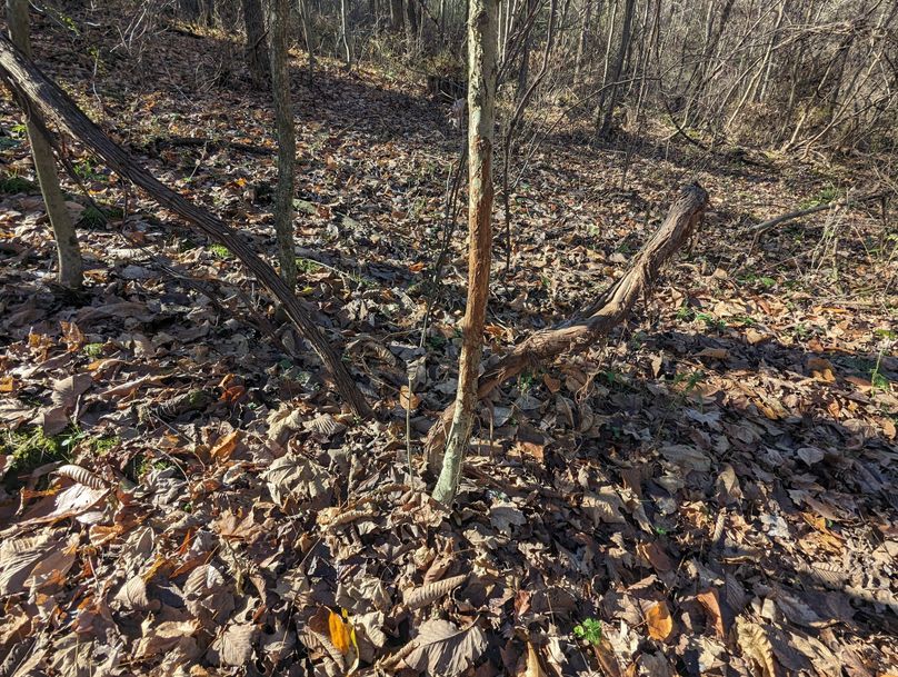 PXL_20231103_153148855