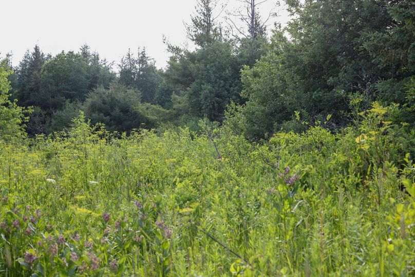 Mackinac20Fewins-6009